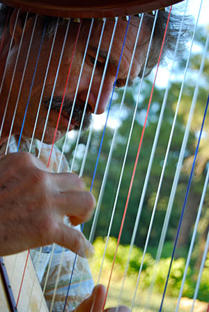 Ross Barrable Playing Harp